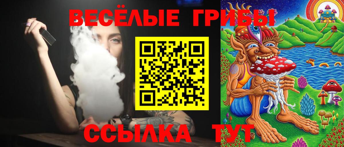Орехово-Зуево  Псилоцибиновые грибы Psilocybe  Галлюциногенные грибы Psilocybe  Вход с VPN 